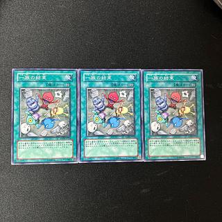 5023 Solidarity Normal JP054