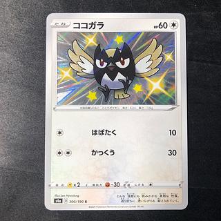 ココガラ S 300/190 1枚