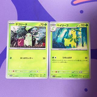 ベイリーフ 004/ チコリータ C 003/063