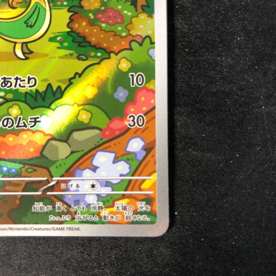 ツタージャ AR 087/086の通販 cardcollect（1241983120） | magi