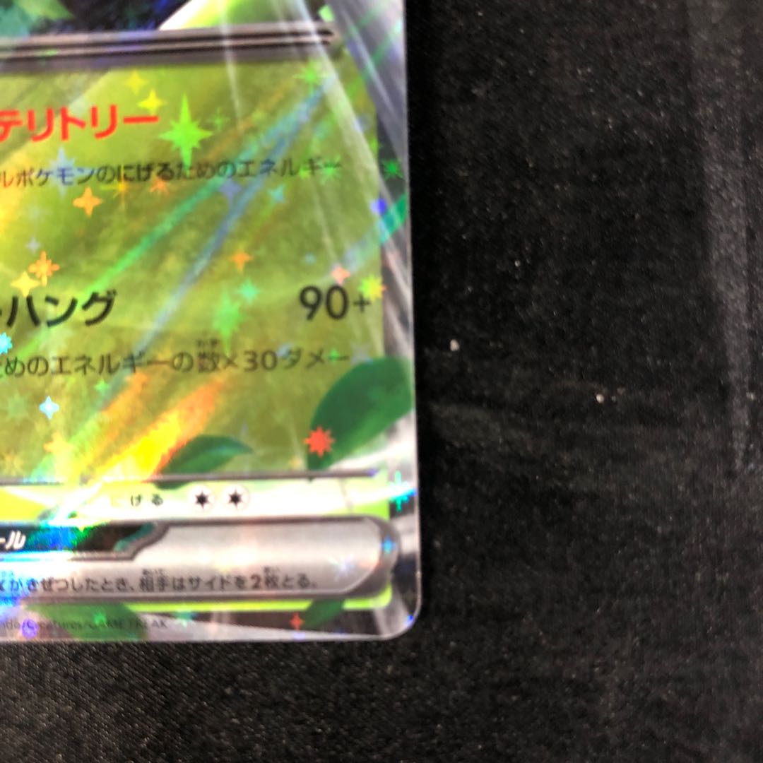 ワナイダーex RR 008/078