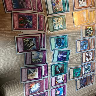 恐竜デッキ　40枚　引退品です 30枚