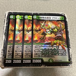 邪帝類五龍目 プラドックス