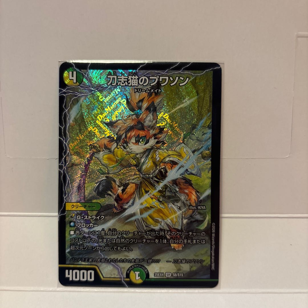 刀志猫のプワソン SR S8/S15 1枚