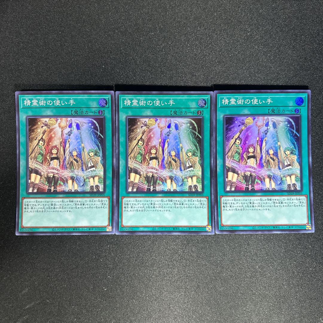 1003 精霊術の使い手 1枚