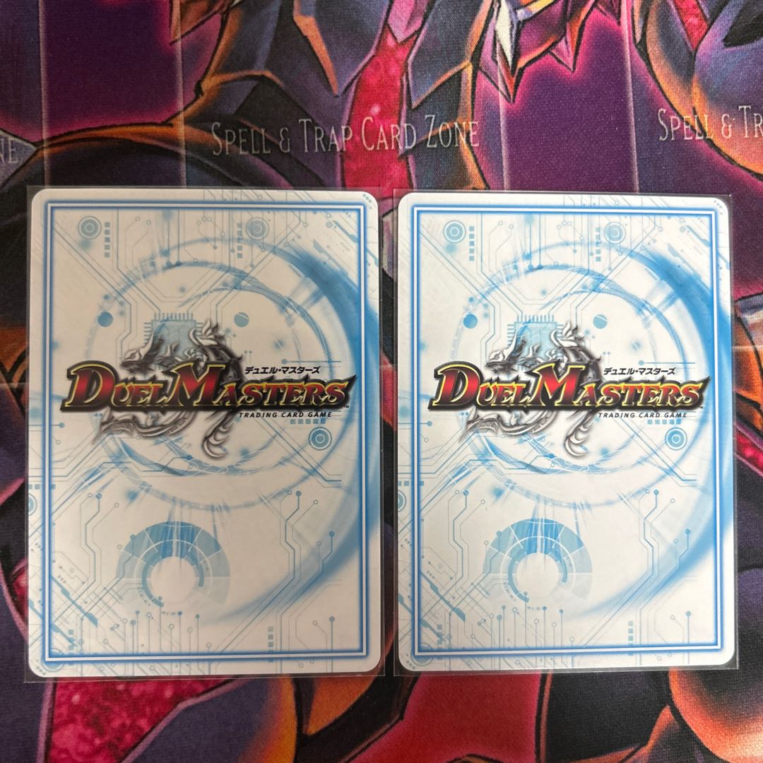 two sheets (pieces) (of paper) Carapace TS-10 C 12/25