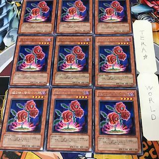 返り咲く薔薇の大輪 1 レア 9枚セット てら