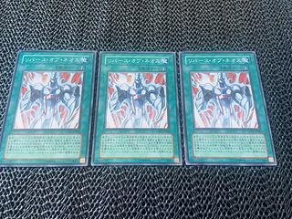 Y-8 リバース・オブ・ネオス ノーマル JP046