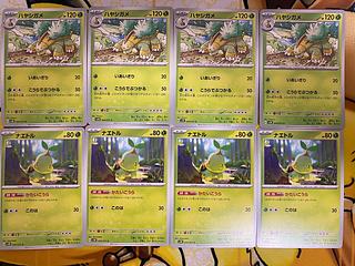 ポケモンカード　ナエトル　ハヤシガメ