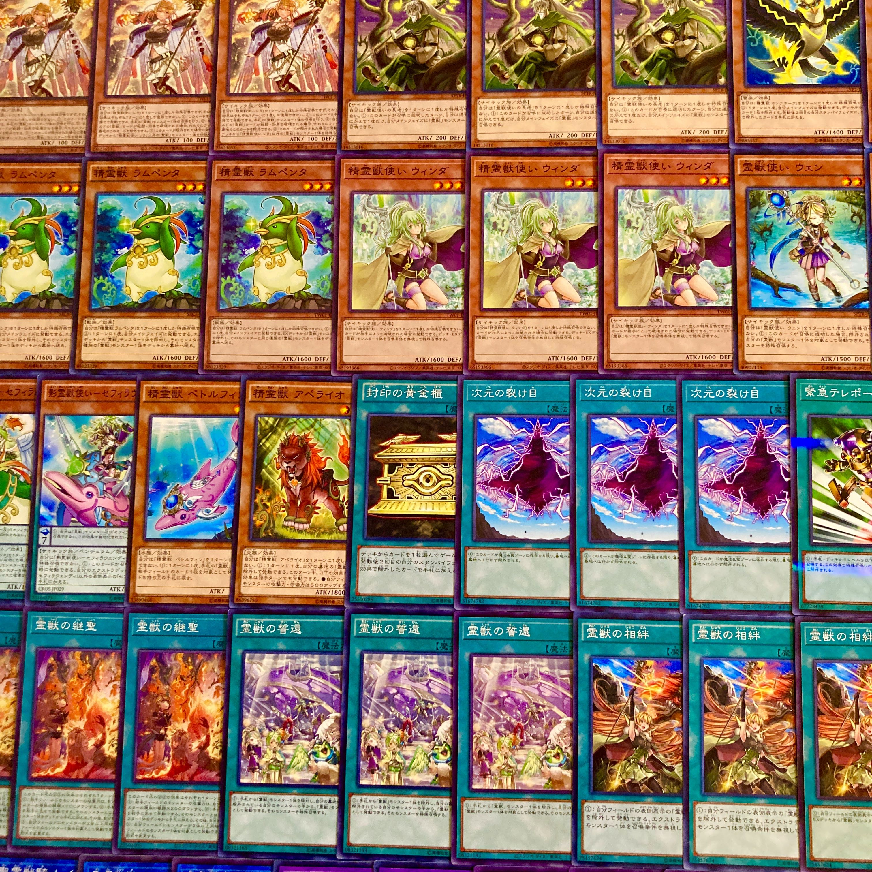 Yu-Gi-Oh! Newly added construction!　Reiju Deck 40 cards 1枚