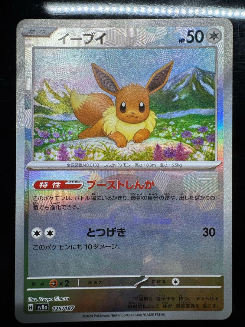 テラフェス　ブイズ　モンボミラーセット 9枚