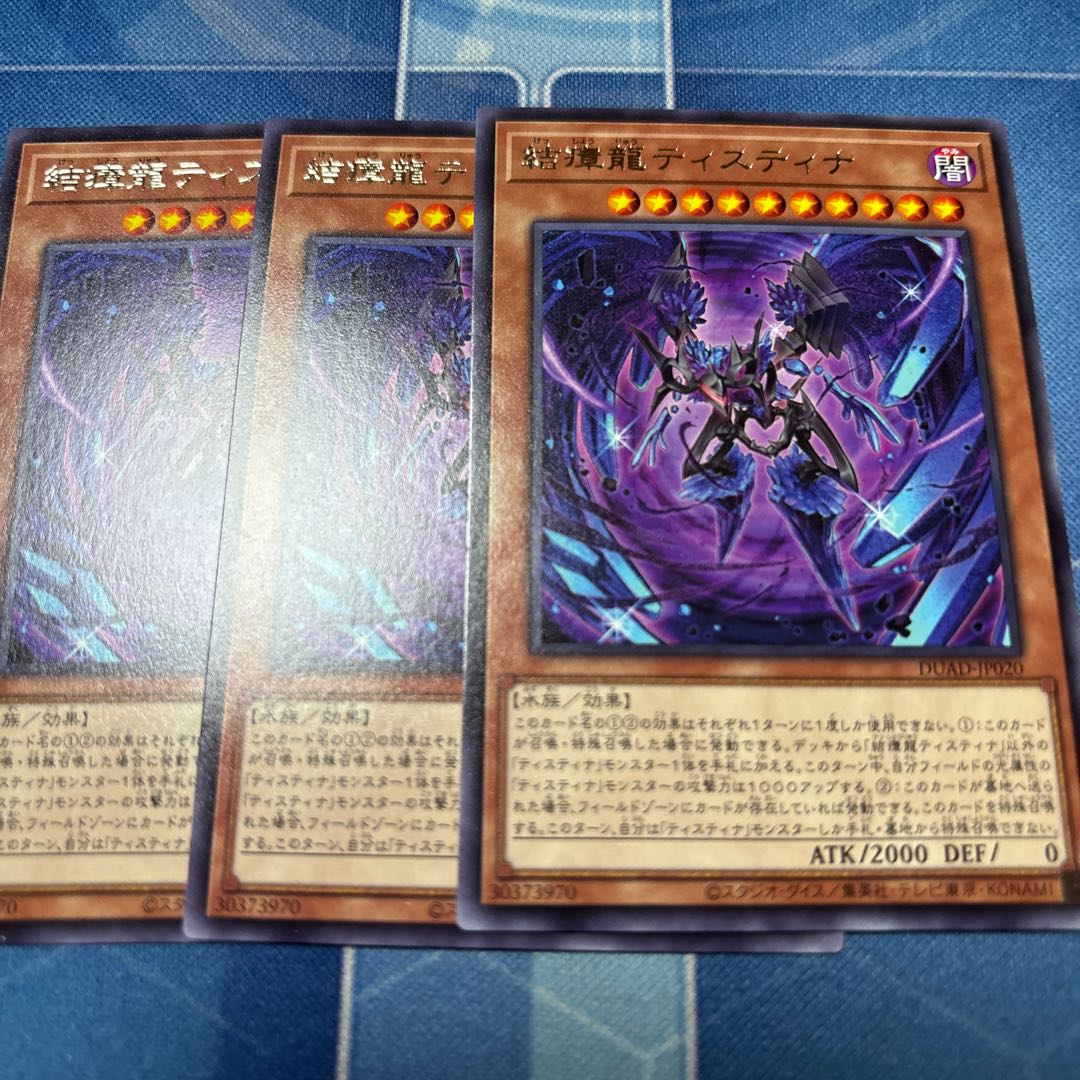 Tibetan dragon Tistina, rare DUAD-JP020