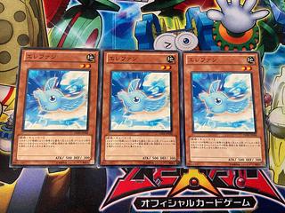 Y-3100 エレファン ノーマル JP034