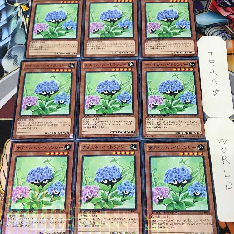 1 Duel Terminal, Effect, Set of 9, Tera. 9枚