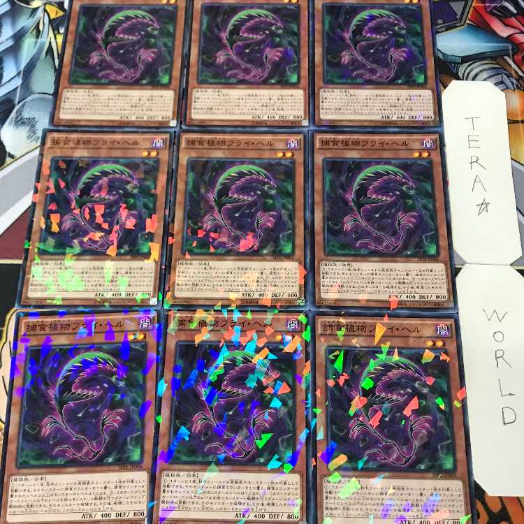 1 Normal Parallel, Effect, Set of 9, Tera. 9枚