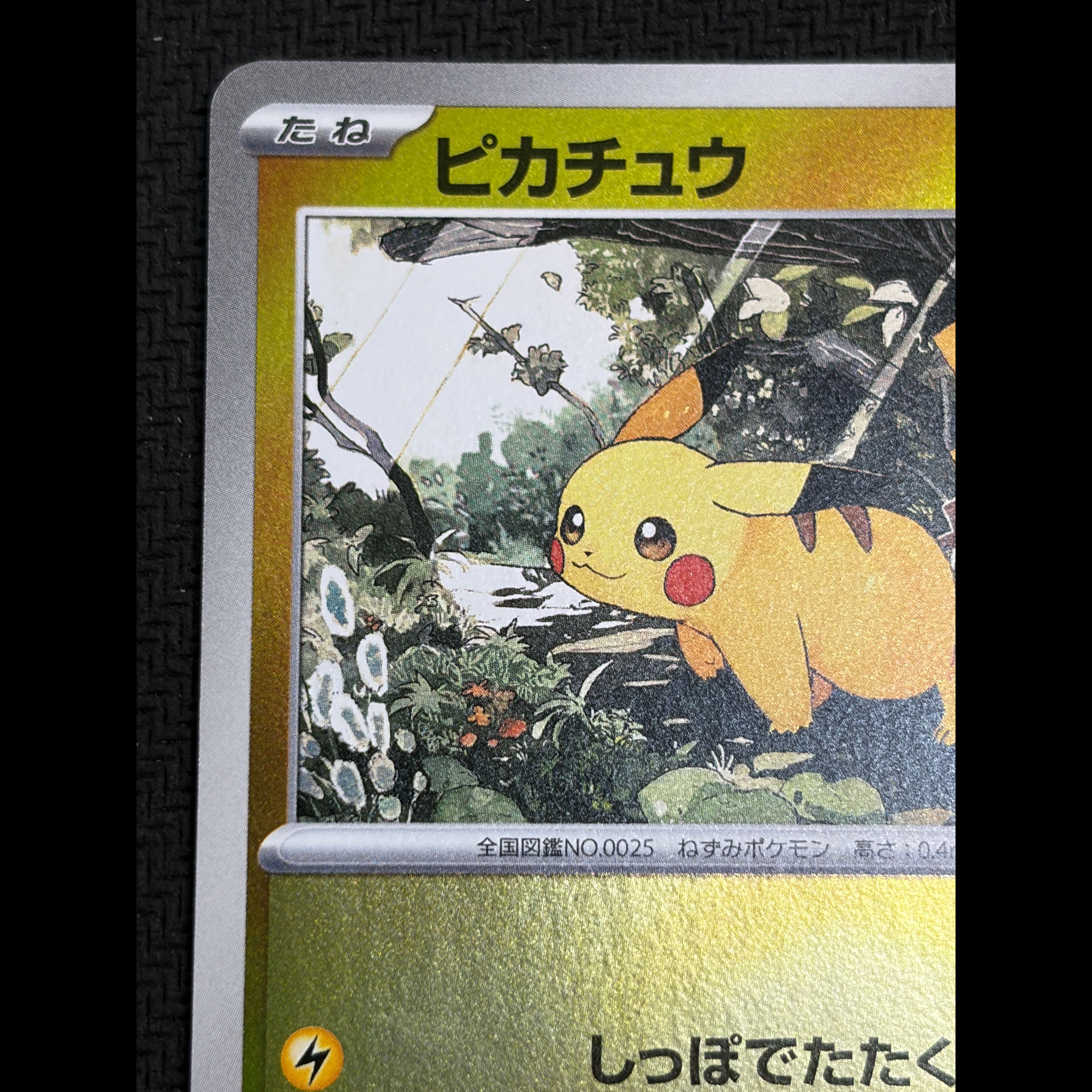 ④ State B Pikachu (Mirror Finish) S-TD 225/742 1枚