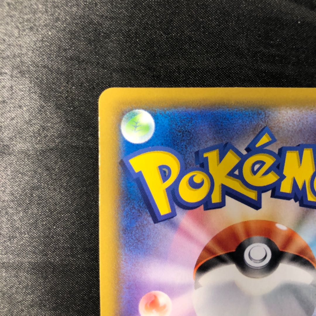 パッチルドン S 245/190 1枚