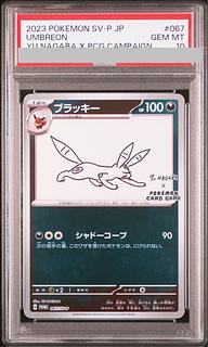 psa10 ブラッキー」の激安通販 | magi psa10 ブラッキー」の激安通販 | magi