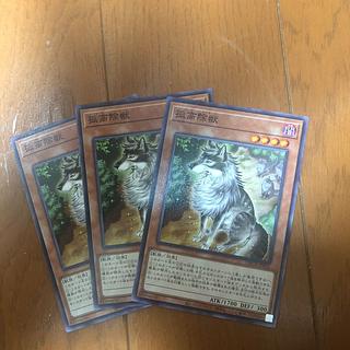 孤高除獣 ノーマル DBCB-JP026