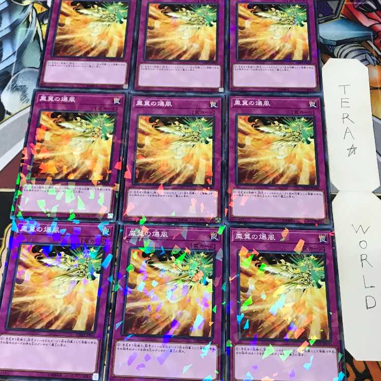 Phoenix Wing Wind Blast DBHS 1 Normal Parallel, Trap, Set of 9, Tera. 9枚