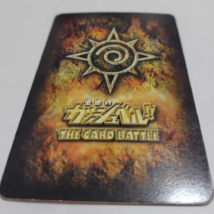 olive (Olea europea)