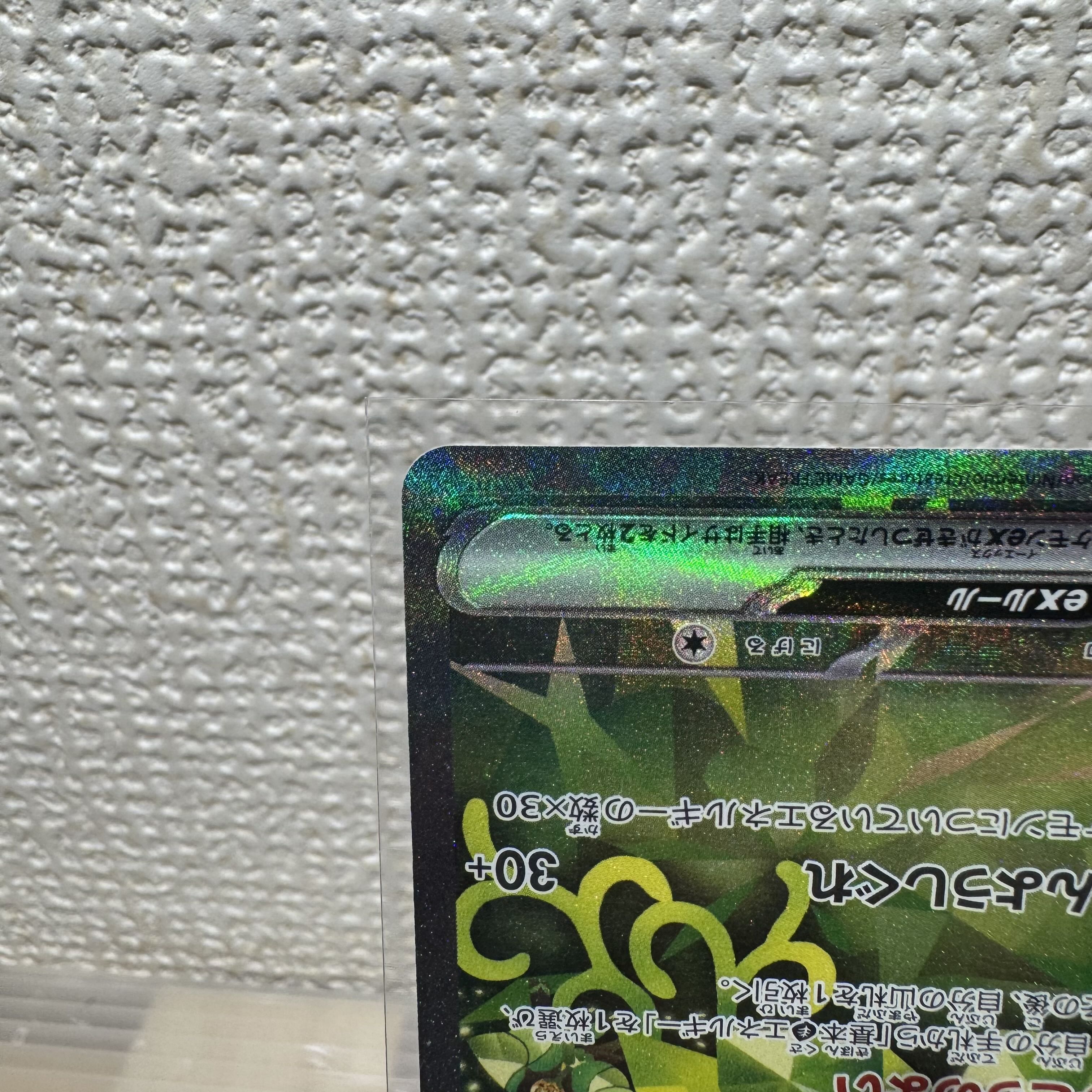 オーガポンみどりのめんex SAR 125/101