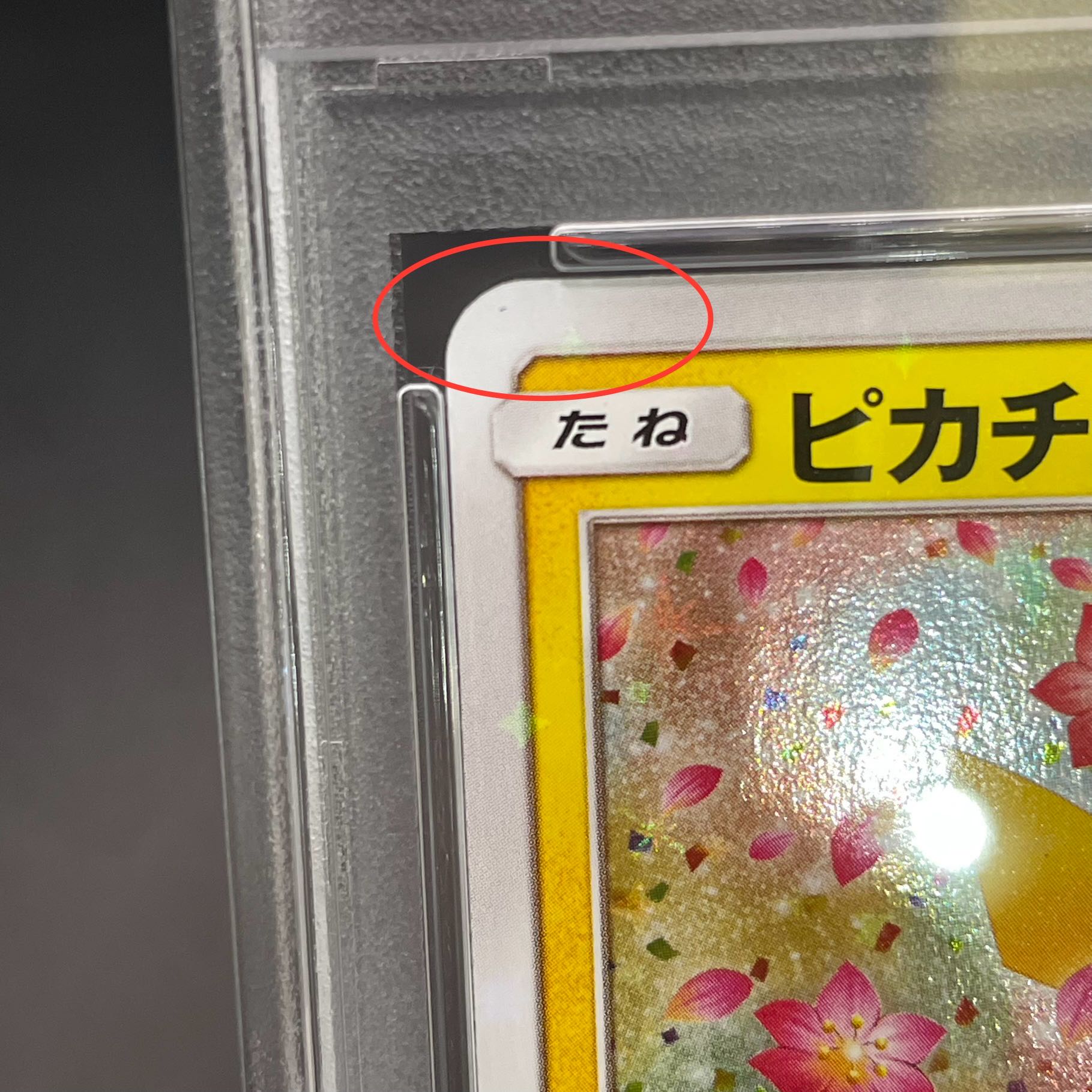 【PSA10】ピカチュウ PROMO 224/SM-P