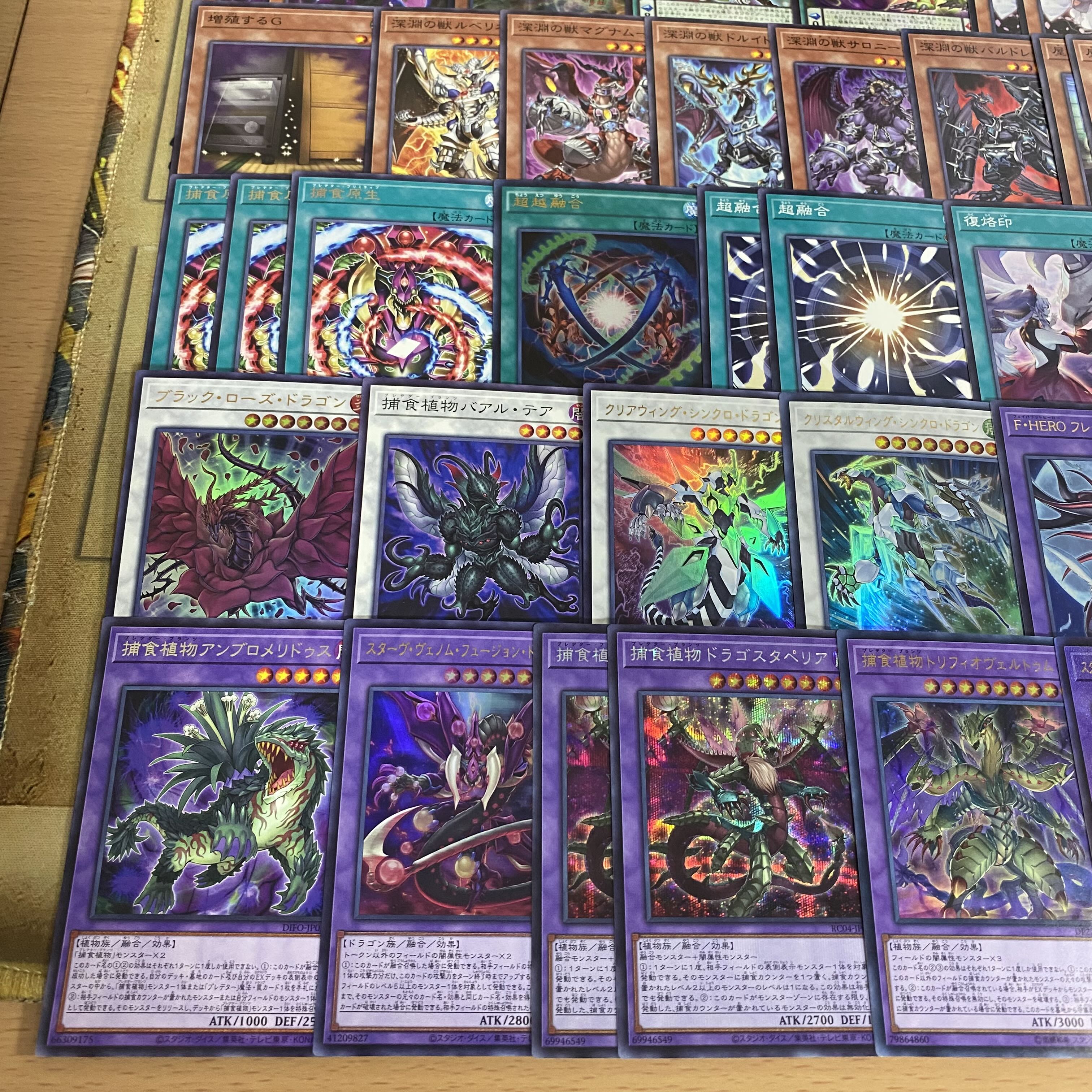 本格構築 捕食植物 デッキ 遊戯王 四天の龍スターヴヴェノムフュージョンドラゴン 超融合 オフリススコーピオ 血樹竜姫ドラセレア 1枚