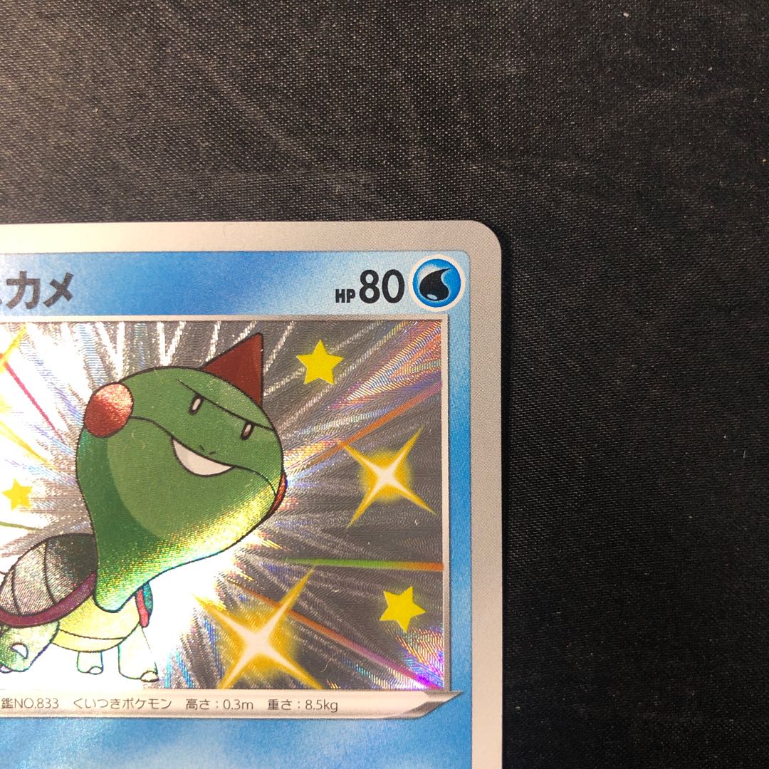 カムカメ S 227/190 1枚