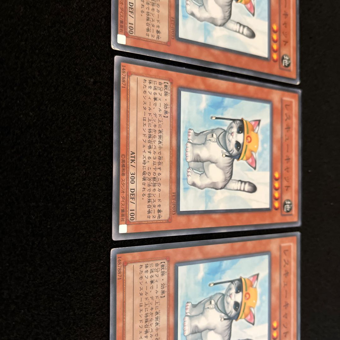 (State C) Rescue Cat Normal FET-JP033 3 copies