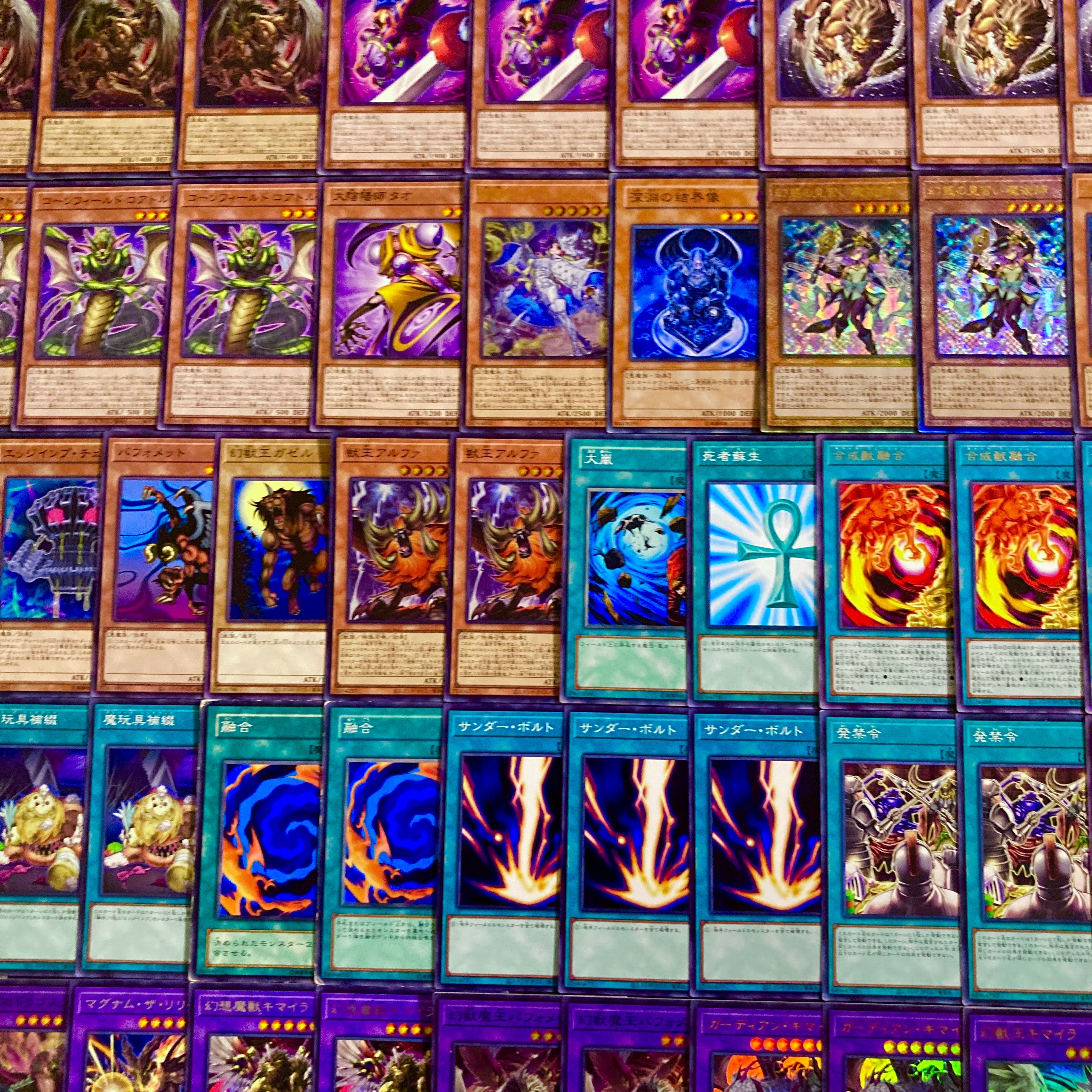 遊戯王【超本格構築！！】キマイラデッキ４０枚