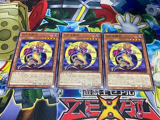 Y-3811 月光金獅子 ノーマル DUAD-JP005 3枚