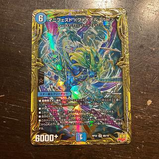 Manifesto <Final Star>.