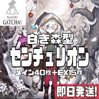 即日発送!大会用 センチュリオン デッキ 遊戯王 インフィニット 即日発送!大会用 センチュリオン デッキ 遊戯王 インフィニット