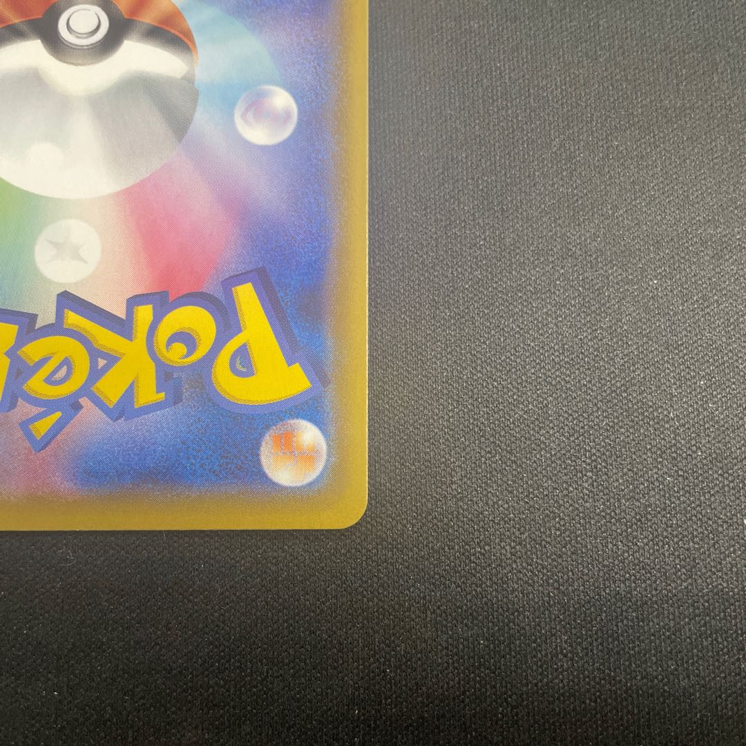 Toritsukai SR 193/190 1枚