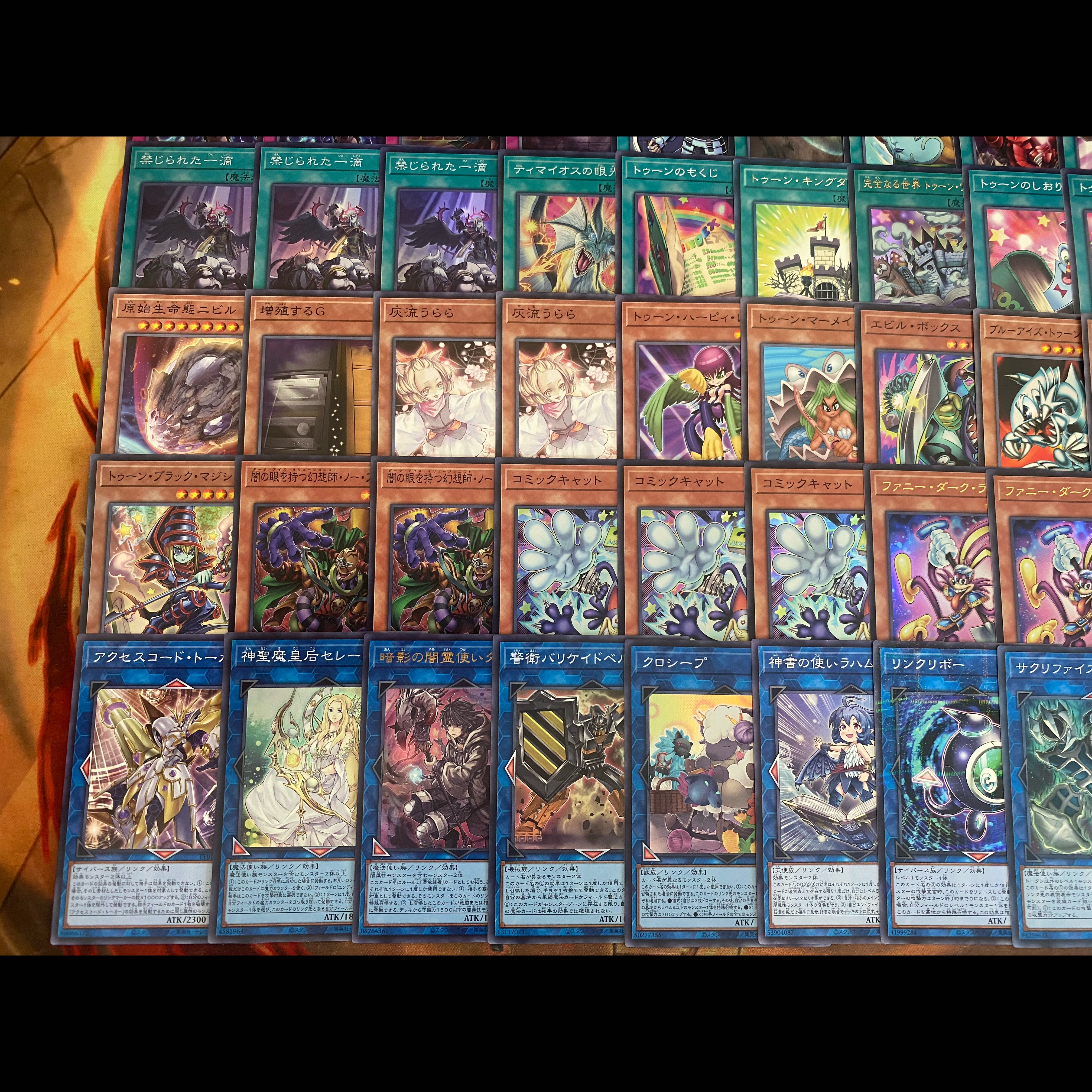 DK トゥーンデッキ 本格構築 トゥーン 構築済みデッキ トゥーン デッキ 遊戯王 本格構築 大会構築済みデッキ メイン40枚+Ex15