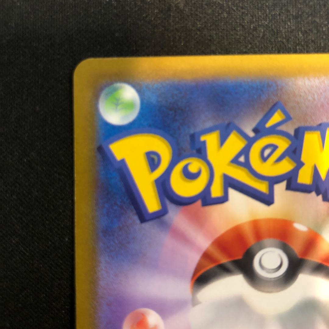 傷(微) タロ SAR 231/187