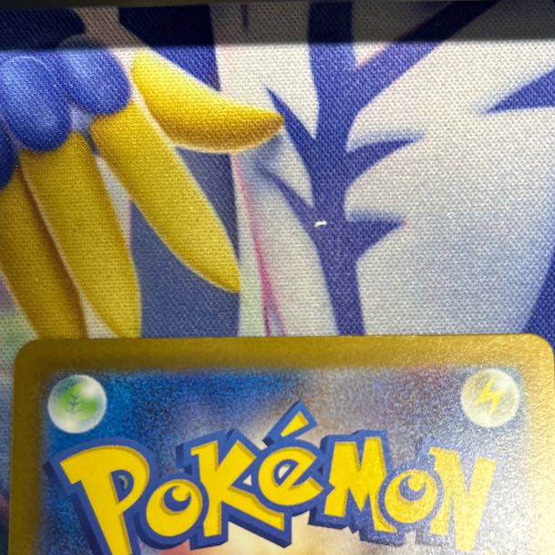 ③状態B Nのゼクロム AR 210/193 1枚