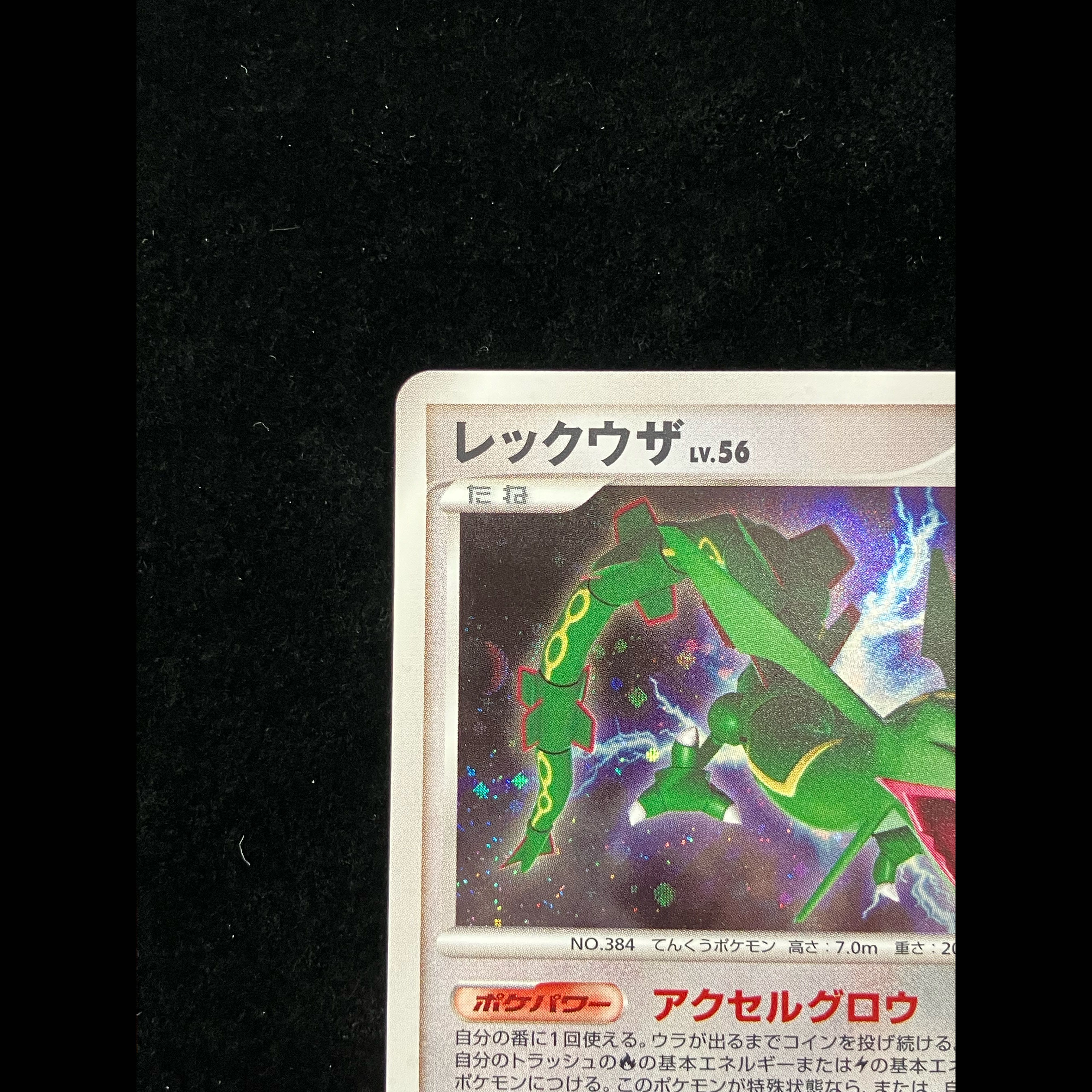 Rayquaza <1st> (-) {DPBP#442 1枚