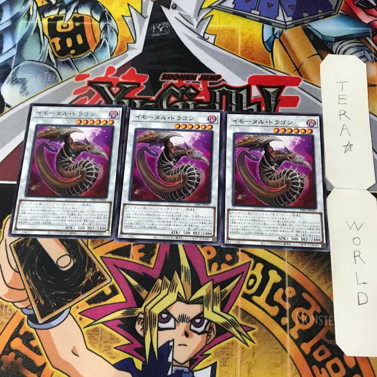 イモータル・ドラゴン DIFO 1 レア シン 3枚セット てら