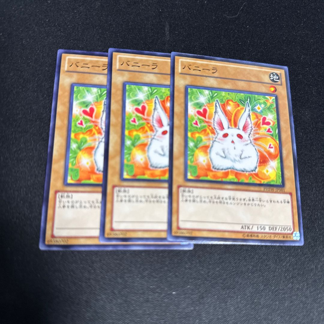 3 Bunilla Normal JP001