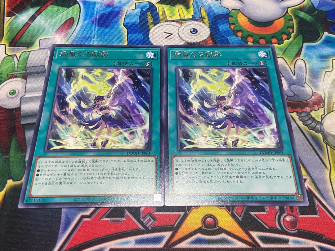 Y-2447 Gorgeous Stormy Dedication Rare DOOD-JP061