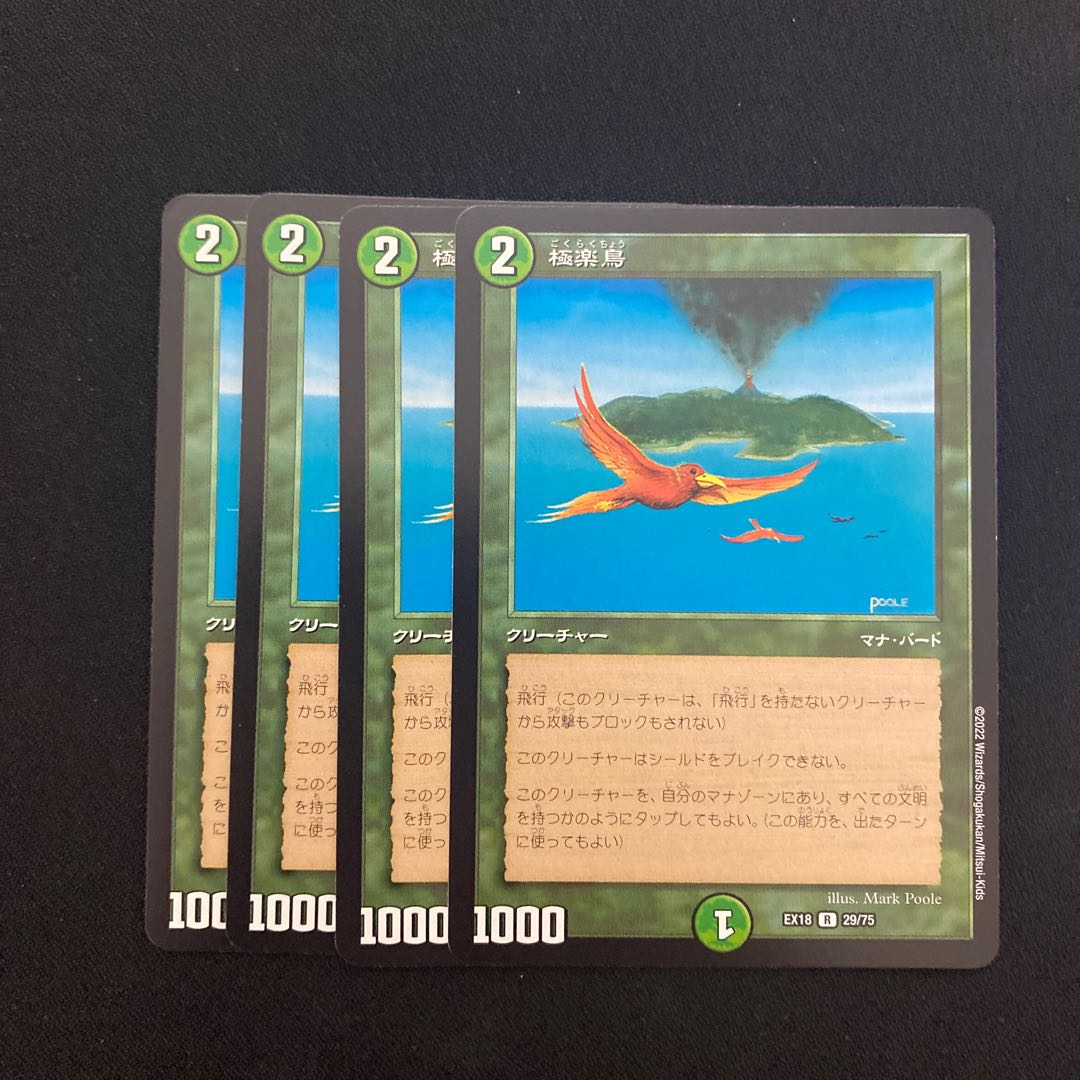 Birds of Paradise R 29/75