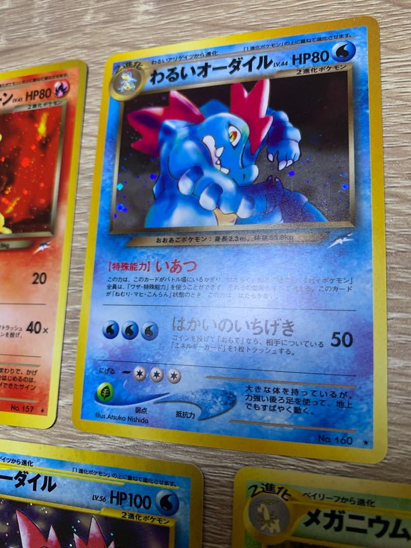 Bad Typhlosion/Bad Feraligatr/Meganium&Feraligatr&Typhlosion x 2 old back