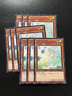 Yu-Gi-Oh Studio 9 cards Spirit of the Fall Wind rare JP039