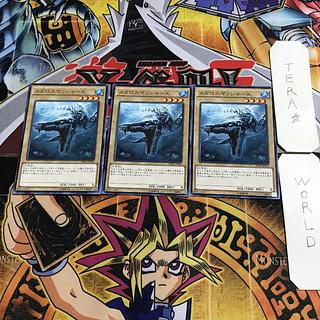 Megalosmasher X 14 Normal Set of 3 Tera