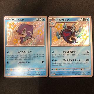 Namibian dolphin 228/190 Dolphin man 229/190