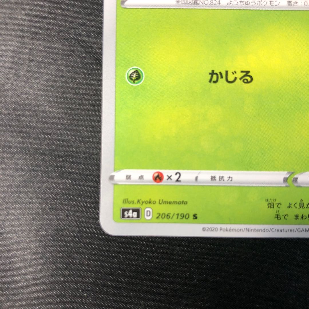 サッチムシ S 206/190 1枚