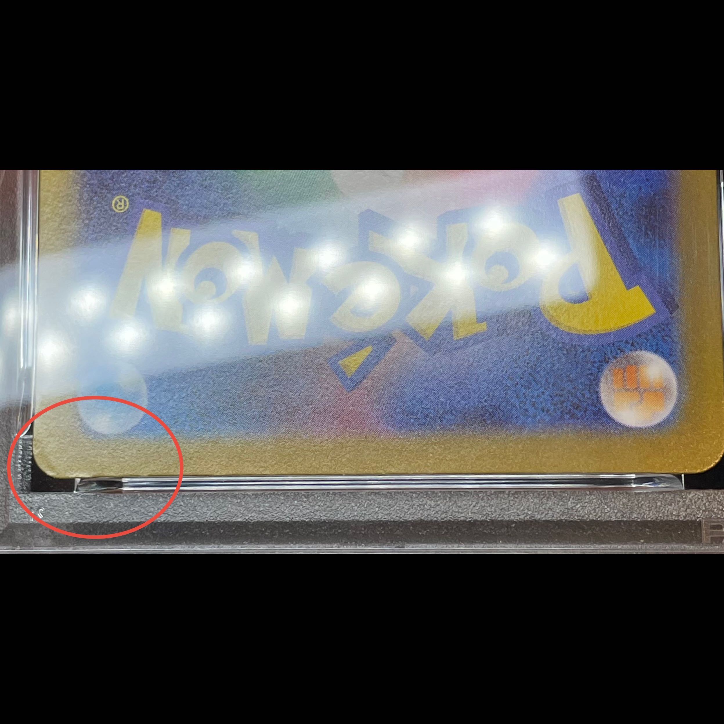【PSA10】トウホクのピカチュウ PROMO 260/SV-P 1枚