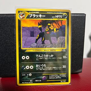 Umbreon Old Back 1枚